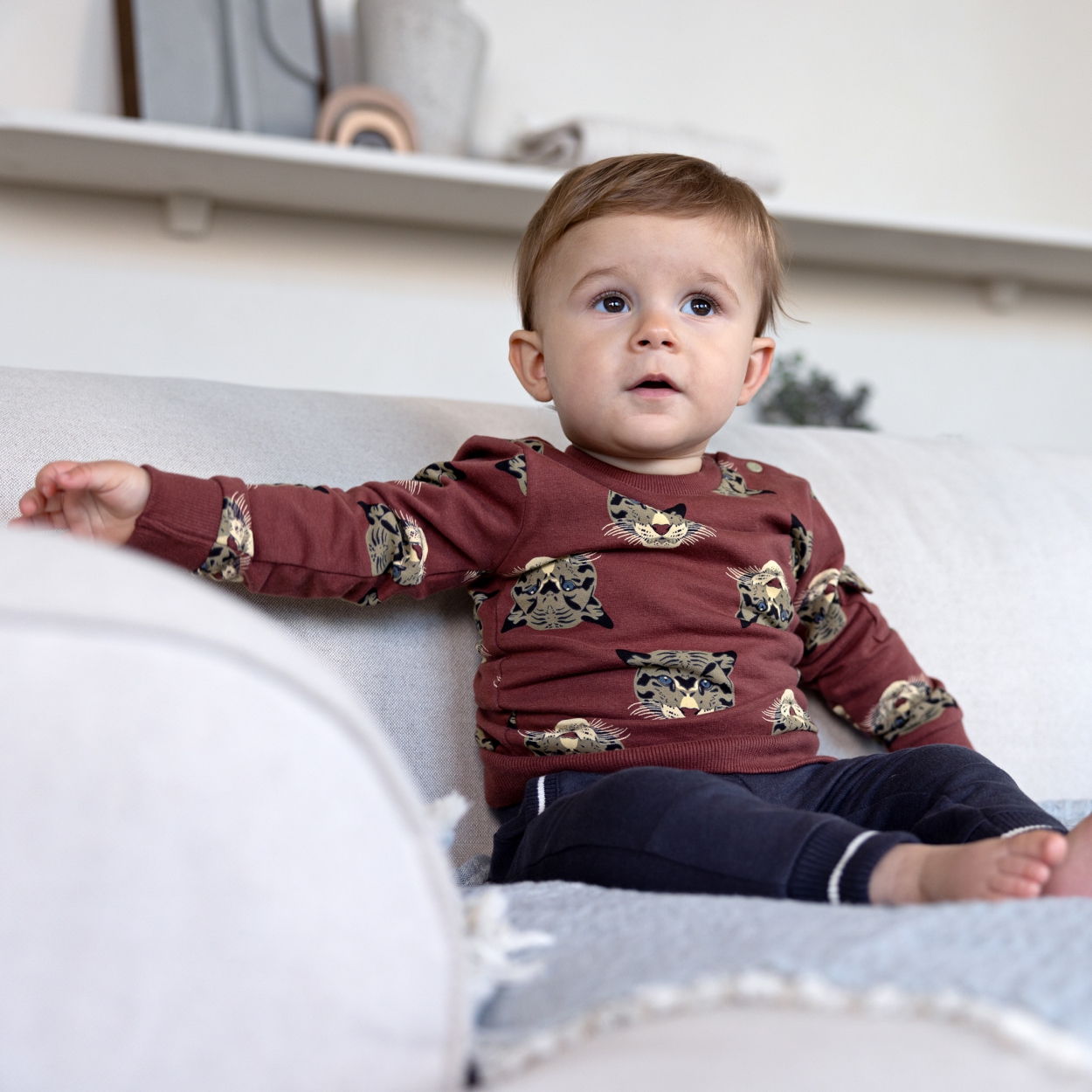 Dirkje Jungen Pullover Äffchen- oder Tigerdruck